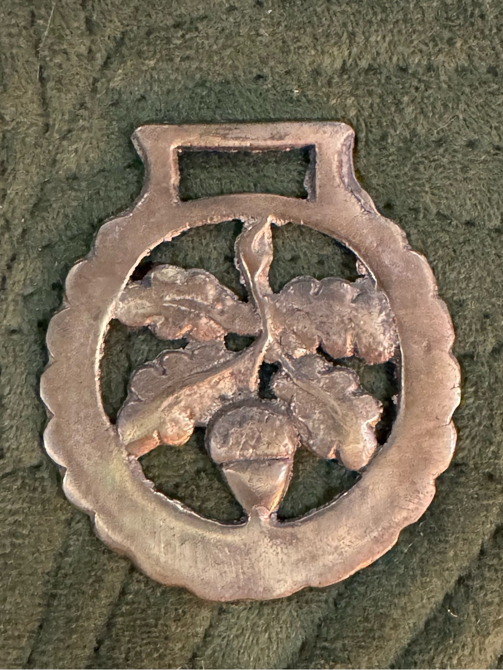Vintage English Cast Brass Horse Saddle Harness Medallion- Lucky Acorn